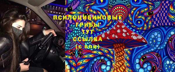 мяу мяу мука Осинники