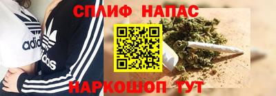тгк Гатчина